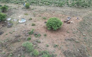 4 Bedroom Farm For Sale in Otjiwarongo