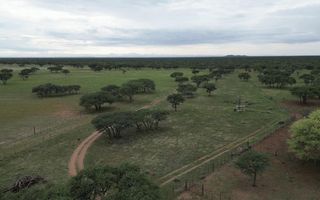 4 Bedroom Farm For Sale in Otjiwarongo