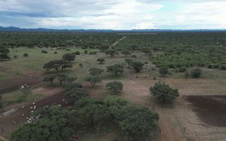 4 Bedroom Farm For Sale in Otjiwarongo