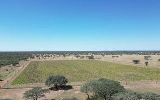 4 Bedroom Farm For Sale in Otjiwarongo