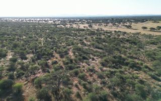 4 Bedroom Farm For Sale in Otjiwarongo