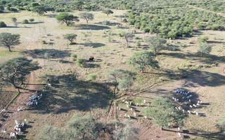 4 Bedroom Farm For Sale in Otjiwarongo