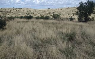 House For Sale in Daan Viljoen, Windhoek