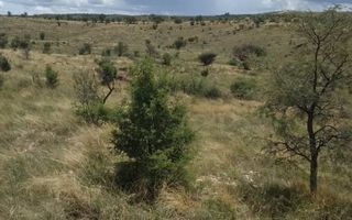 House For Sale in Daan Viljoen, Windhoek