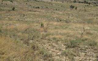 House For Sale in Daan Viljoen, Windhoek