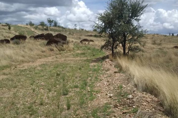 House For Sale in Daan Viljoen, Windhoek