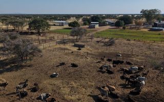 Farm For Sale in Otavi