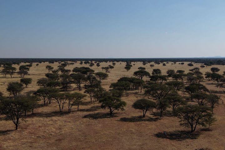 Farm For Sale in Otavi