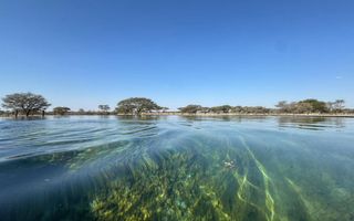 Farm For Sale in Otavi