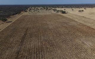 Farm For Sale in Otavi