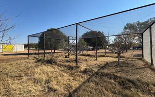Farm For Sale in Otavi