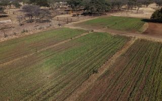 Farm For Sale in Otavi