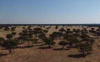 Farm For Sale in Otavi