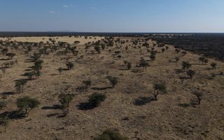 Farm For Sale in Otavi