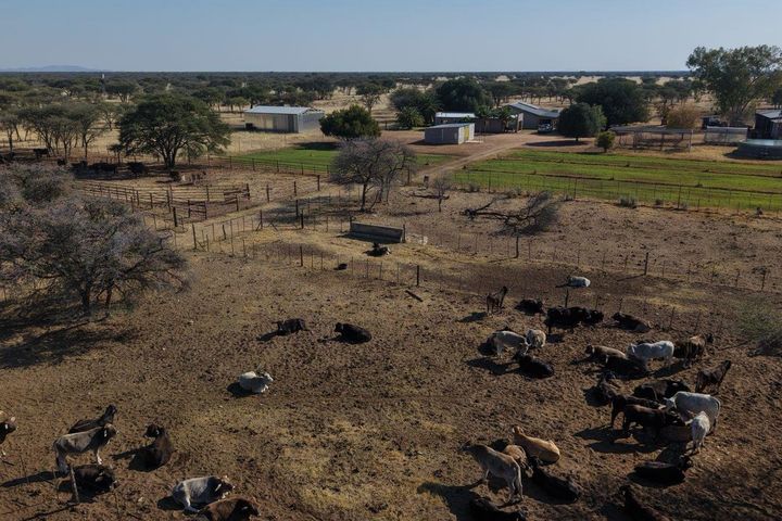 Farm For Sale in Otavi