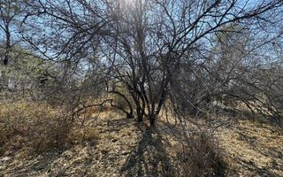 Farm For Sale in Hochfeld