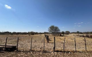 Farm For Sale in Hochfeld