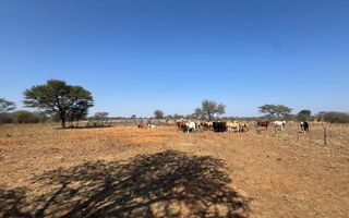 Farm For Sale in Hochfeld