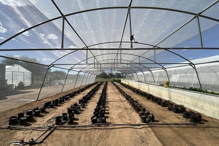 Small Holding / Plot For Sale in Windhoek Central, Windhoek