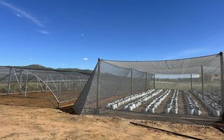 Small Holding / Plot For Sale in Windhoek Central, Windhoek