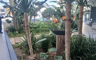 1 Bedroom Apartment For Sale in Dolphin Beach