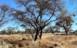 House For Sale in Okahandja