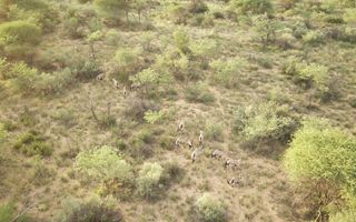 Farm For Sale in Witvlei