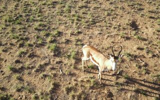 Farm For Sale in Witvlei