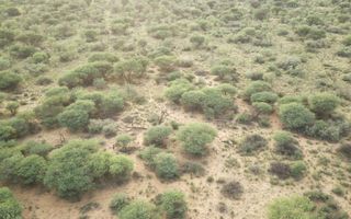 Farm For Sale in Witvlei