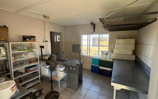 Farm For Sale in Otavi