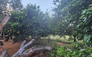8 Bedroom Office / Retail / Mixed Use For Sale in Otavi