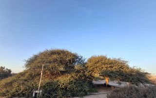 1 Bedroom Small Holding / Plot For Sale in Swakopmund River...