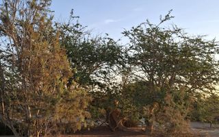 1 Bedroom Small Holding / Plot For Sale in Swakopmund River...
