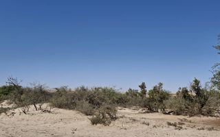 1 Bedroom Small Holding / Plot For Sale in Swakopmund River...