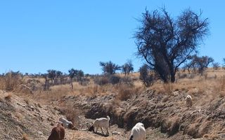 3 Bedroom Small Holding / Plot For Sale in Khomas Hochland,...