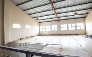 Industrial For Sale in Industrial, Walvis Bay