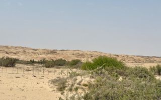 1 Bedroom Small Holding / Plot For Sale in Swakopmund River...