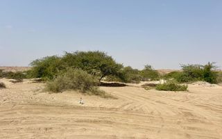 1 Bedroom Small Holding / Plot For Sale in Swakopmund River...