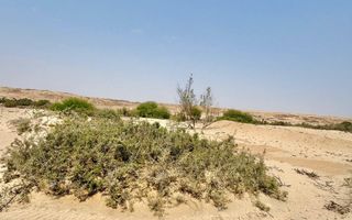 1 Bedroom Small Holding / Plot For Sale in Swakopmund River...