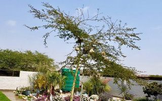 1 Bedroom Small Holding / Plot For Sale in Swakopmund River...