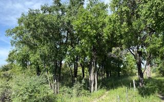 Farm For Sale in Grootfontein