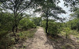 Farm For Sale in Grootfontein