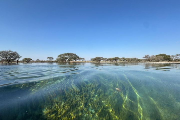 Farm For Sale in Otavi