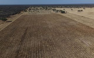Farm For Sale in Otavi