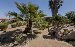3 Bedroom House To Rent in Rossmund, Swakopmund