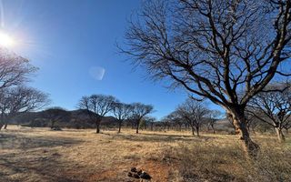 Hospitality For Sale in Otavi