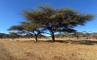 Hospitality For Sale in Otavi
