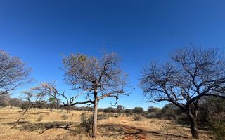 Hospitality For Sale in Otavi