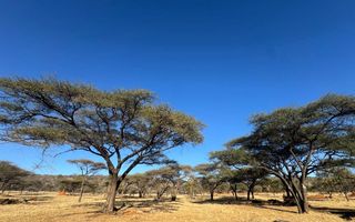 Hospitality For Sale in Otavi