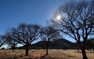 Hospitality For Sale in Otavi